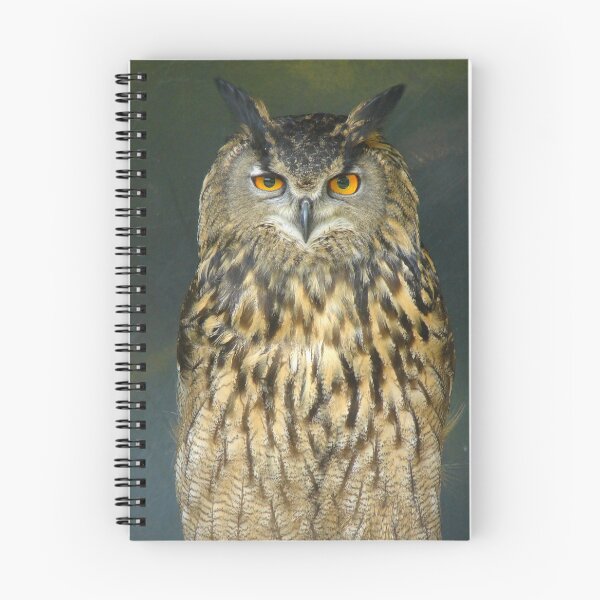 Item preview, European Eagle Owl designed and sold by Chris Petty.