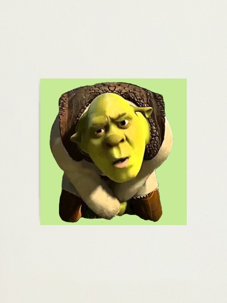 Shrek 1 - Shrek Surprised | Photographic Print