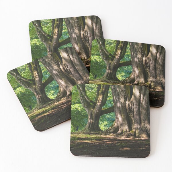 Item preview, Belfast Woods designed and sold by Adrian McGlynn.