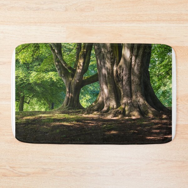 Item preview, Belfast Woods designed and sold by Adrian McGlynn.