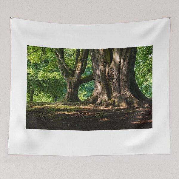Item preview, Belfast Woods designed and sold by Adrian McGlynn.