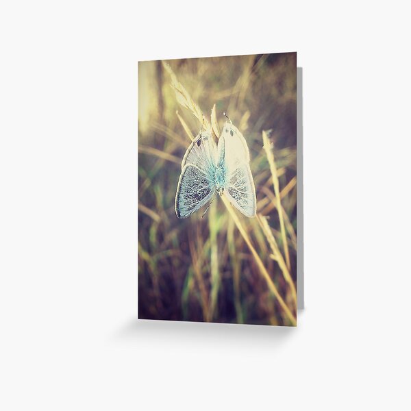 Little Butterfly Greeting Card