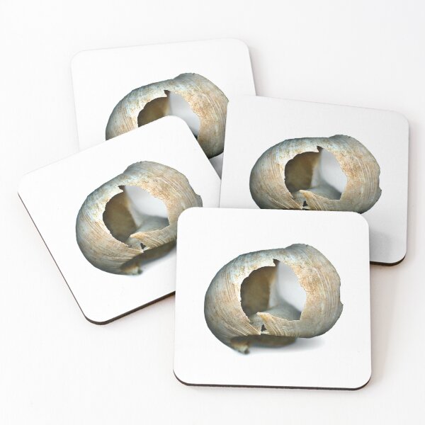 Item preview, All her past was visible by the window. designed and sold by Marc DEFORTESCU.