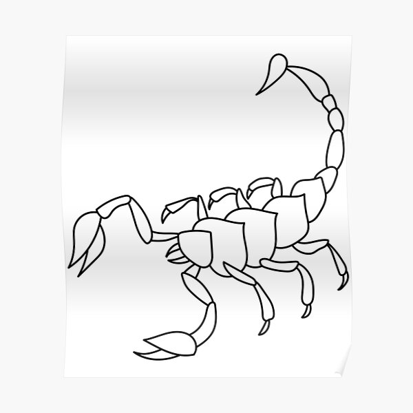 Posters Sur Le Theme Scorpion Artwork Redbubble