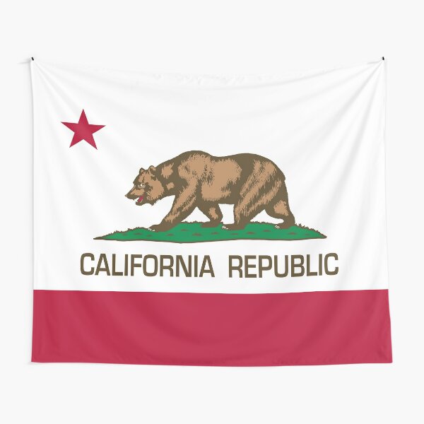 New California Republic Ncr Fallout Fan Art Tapestry By Dylanjaimz Redbubble