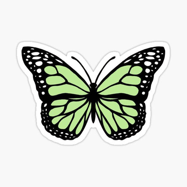 Light green butterfly" Sale Roxannar-k | Redbubble