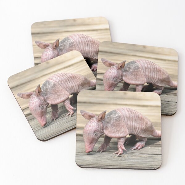 Item preview, Baby Armadillo (Dasypus novemcinctus) designed and sold by Jeff Ore.