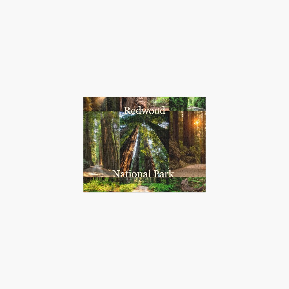 Explore Redwood National Park - CA Jigsaw Puzzle