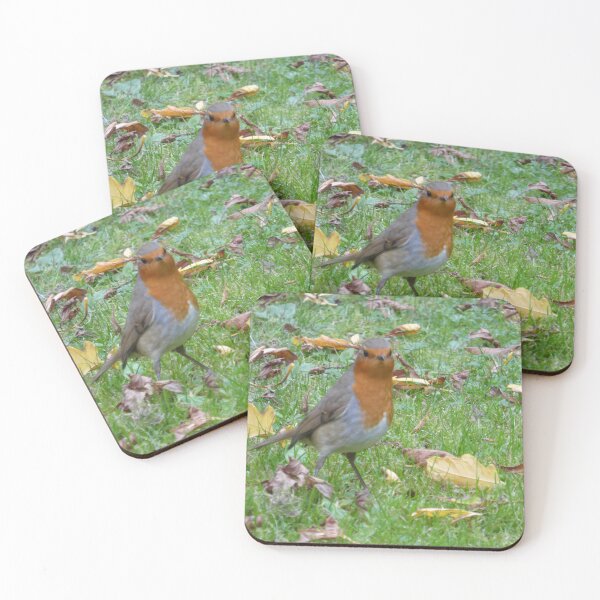 Item preview, Robin designed and sold by Wizz Bang.