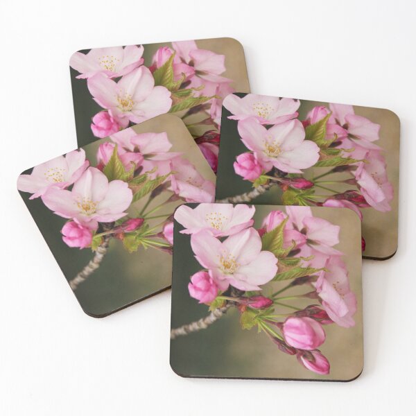 Artikelvorschau, Cherry Blossoms: Pretty in Pink entworfen und verkauft von Alison Hindenlang.