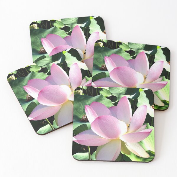 Item preview, Pink Lotus Blossom Summer Flowers designed and sold by DeliriousSteve.