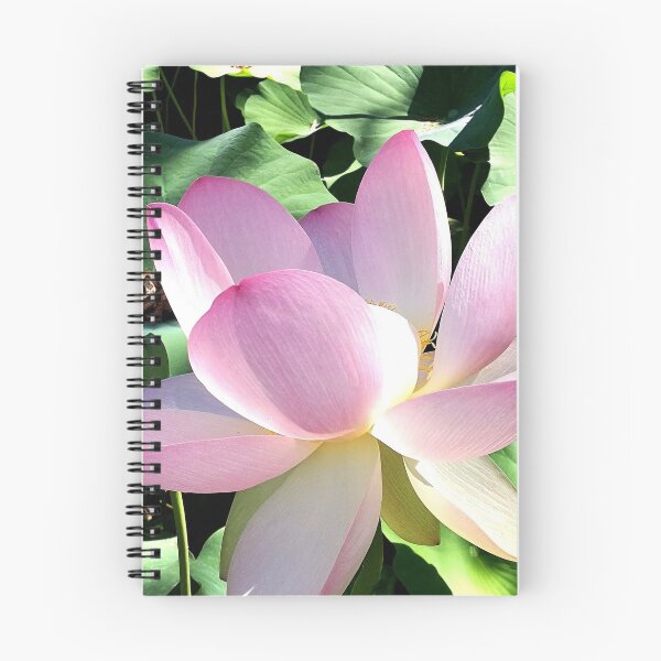 Item preview, Pink Lotus Blossom Summer Flowers designed and sold by DeliriousSteve.