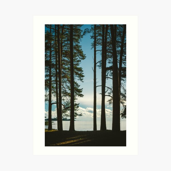 Art Print