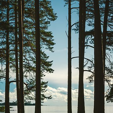 Artwork thumbnail, Jutviken II by Jenny Karlsson