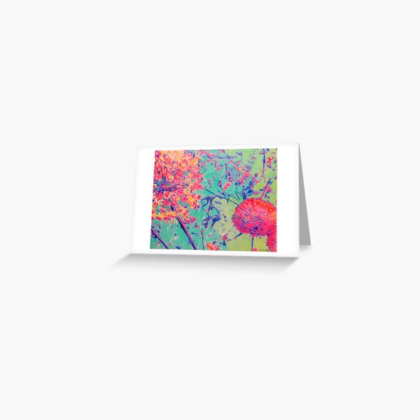 Allium Greeting Card