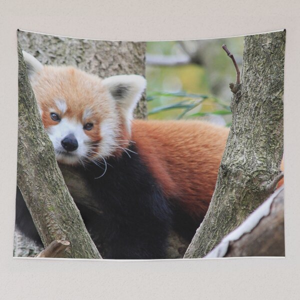 Item preview, Hanging in the Trees designed and sold by Alison Hindenlang.