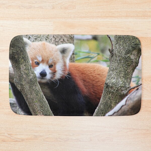Item preview, Hanging in the Trees designed and sold by Alison Hindenlang.
