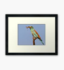 The kill Framed Print
