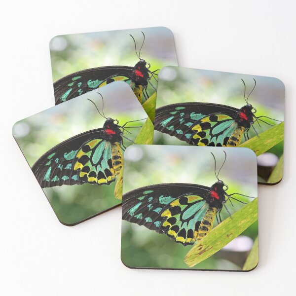 Item preview, Cairns Birdwing Butterfly designed and sold by Alison Hindenlang.
