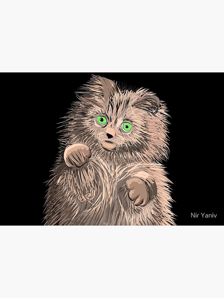 Cute Cat by niry