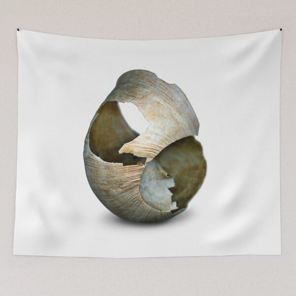 Item preview, What was left of his house ... designed and sold by Marc DEFORTESCU.