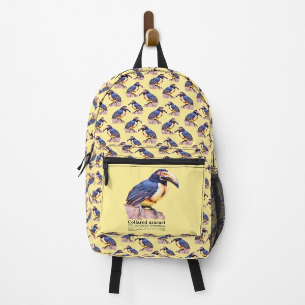 Item preview, Collared aracari bird perched on the canopy at sunrise designed and sold by Mauricio Acosta.