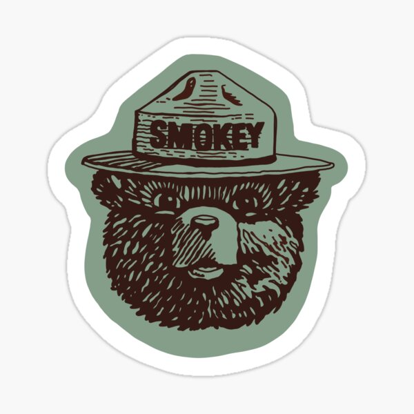 Smokey Bear Fire Prevention Patch Vtg 1” Rare Orig Retro 80s Felt Sticker Logo 