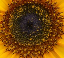 "Sunflower" Stickers by ghjura | Redbubble