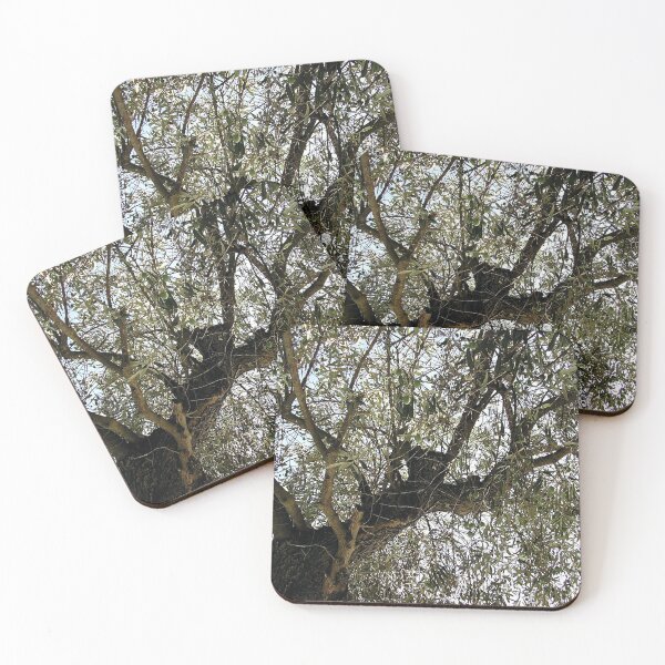 Item preview, Olive tree, Skopelos designed and sold by paulboizot.