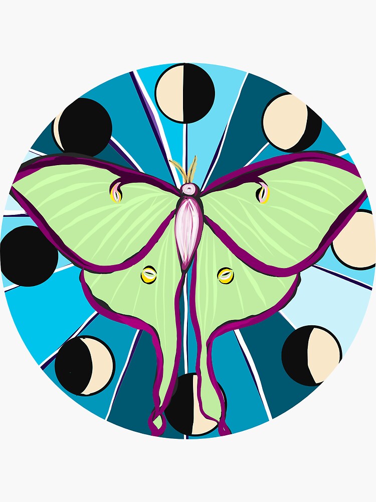 "LUNA MOTH MOON PHASES DECAL *80 OF ARTIST MARGIN PROFIT DONATED TO