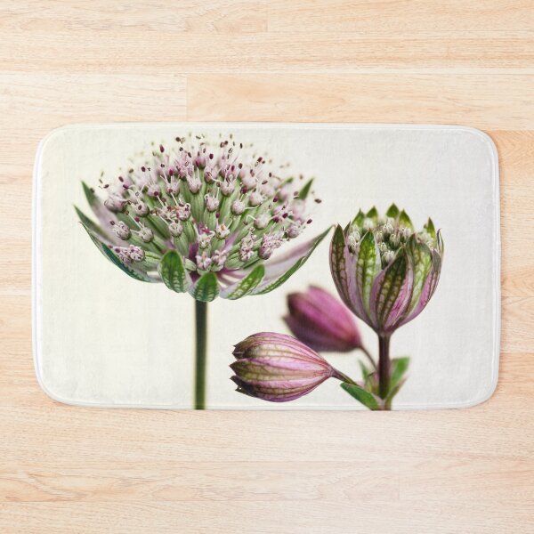 Item preview,  Astrantia Major designed and sold by John Ray.
