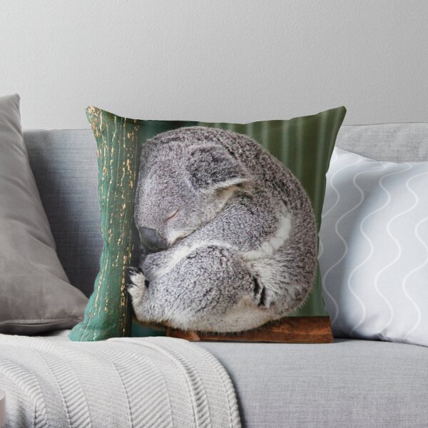 Koala Home Living Redbubble - koala bears home store roblox