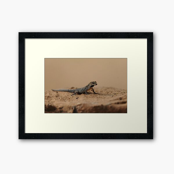 Vista previa del artículo con la obra «Chobe Dwarf Gecko», diseñado y vendido por Nicholas Hart.