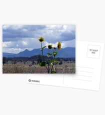Nandewar Range, Narrabri Postcards