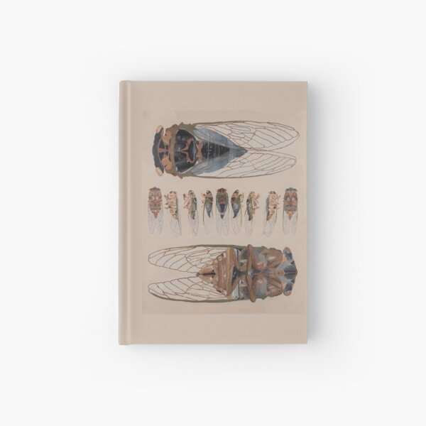 Item preview, Cicadas designed and sold by Lonrism.
