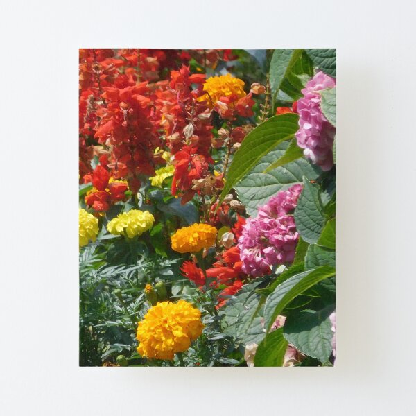 Flower Garden 114 Canvas Mounted Print