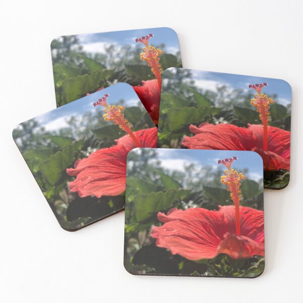 Item preview, Fresh Hibiscus designed and sold by rwartbyrw.