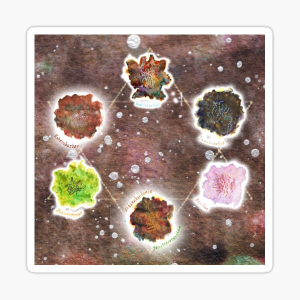 Cosmic Compost Complete Collection Art Prints Sticker