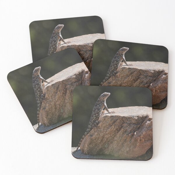 Item preview, A Clark's Spiny Lizard Enjoys the Morning Sun designed and sold by MomentofPercep.