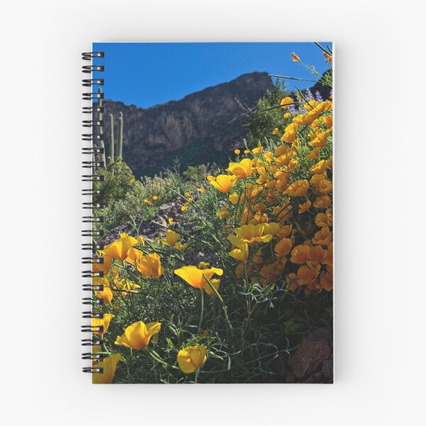 Item preview, Just A Little Sunshine designed and sold by Lucinda Walter.