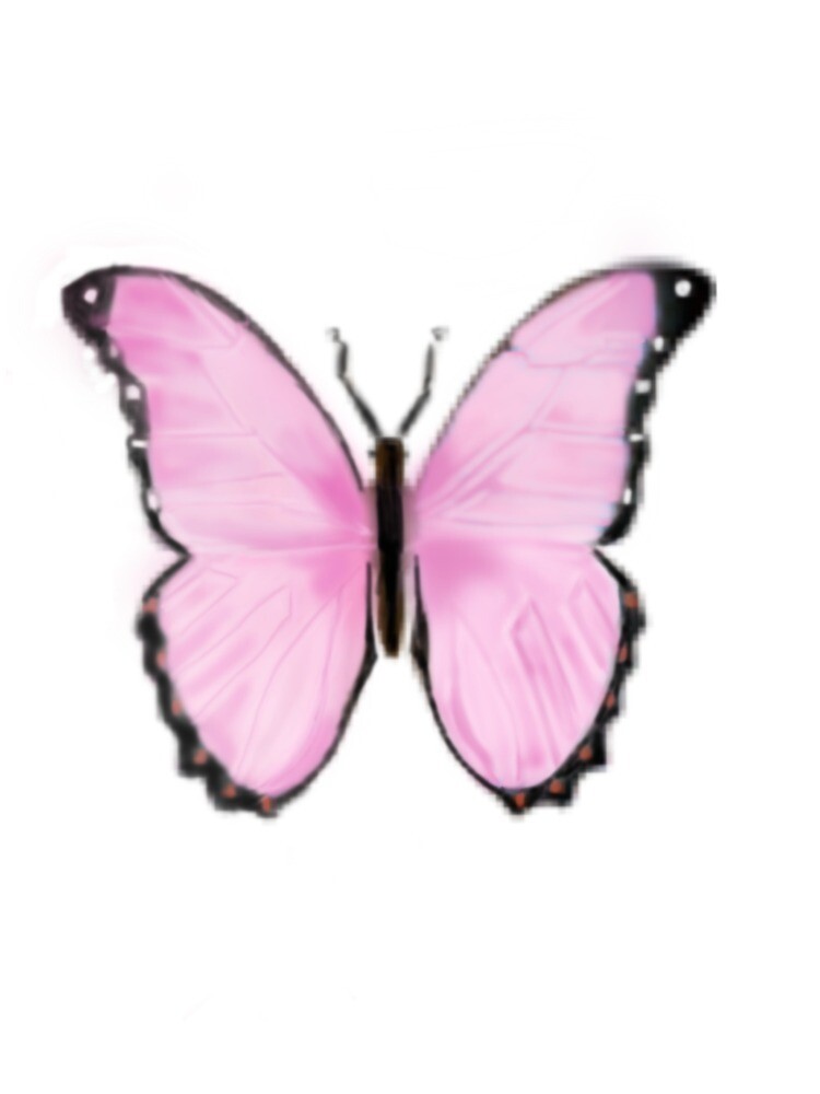 "Aesthetic pink butterfly emoji " Photographic Print by Cherrimint