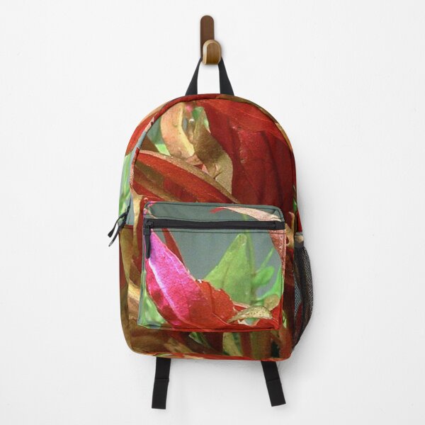 Item preview, Alternanthera Reinecki Rosaefolia - Red Leaf Aquatic Plant designed and sold by killies.