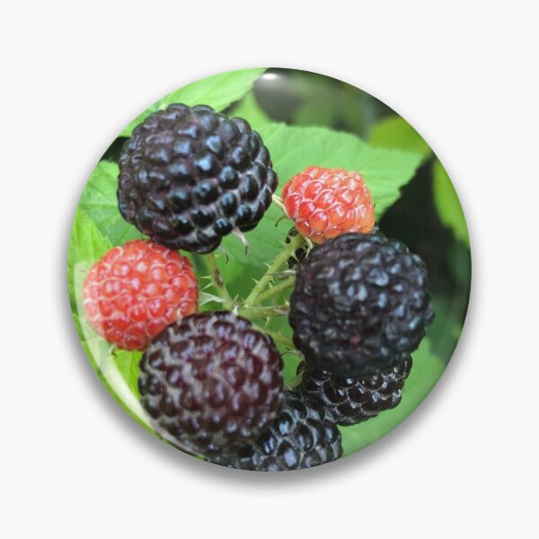 Item preview, Wild Berries Nature designed and sold by Kaushal Pal.