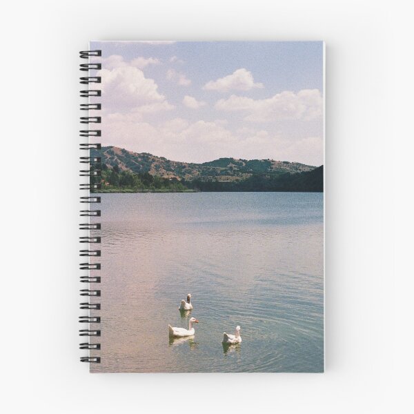 Item preview, Ducks in a Macedonia Lake, designed and sold by alexpepelasev.