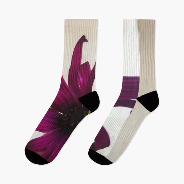 Item preview, Purple Magenta Black Daisy Flower Petals on White designed and sold by hearthearts.