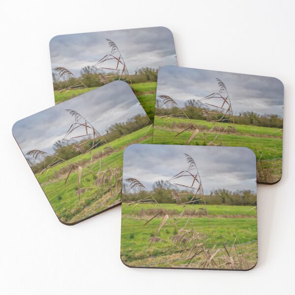 Item preview, Grass reeds in the Norfolk countryside designed and sold by yackers1.