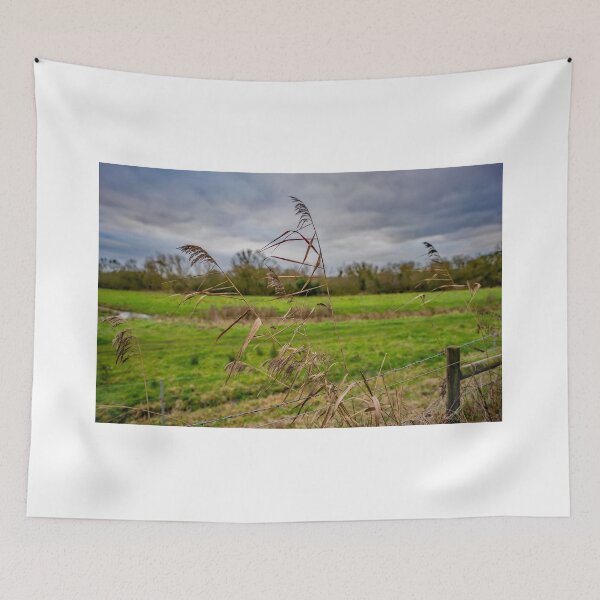 Item preview, Grass reeds in the Norfolk countryside designed and sold by yackers1.