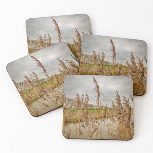 Item preview, River side reeds in the Norfolk Broads National Park designed and sold by yackers1.
