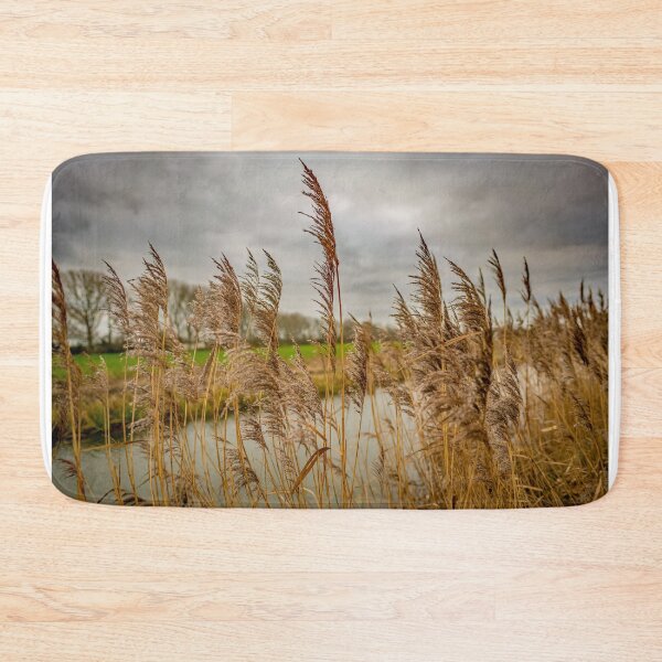 Item preview, River side reeds in the Norfolk Broads National Park designed and sold by yackers1.