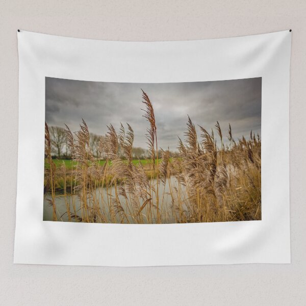 Item preview, River side reeds in the Norfolk Broads National Park designed and sold by yackers1.